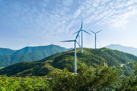 Windräder in der Natur