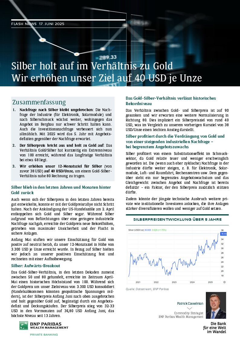 Vorschaubild Strategieflash